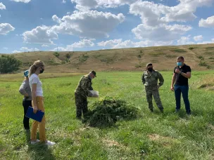В рамках акции «Единый день борьбы с дикорастущей коноплей» организован выезд рабочей группы по выявлению посевов незаконнокультивируемых наркосодержащих растений