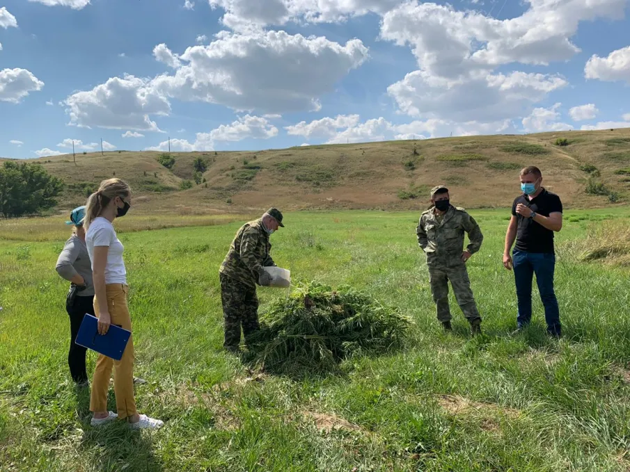В рамках акции «Единый день борьбы с дикорастущей коноплей» организован выезд рабочей группы по выявлению посевов незаконнокультивируемых наркосодержащих растений