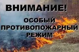 Введен режим ограничения пребывания граждан в лесах и въезда в них транспортных средств, проведения в лесах определенных видов работ