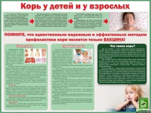 Эпидемическая ситуация по кори в 2018 году и январе 2019 года по Красносулинскому району не осложнялась.