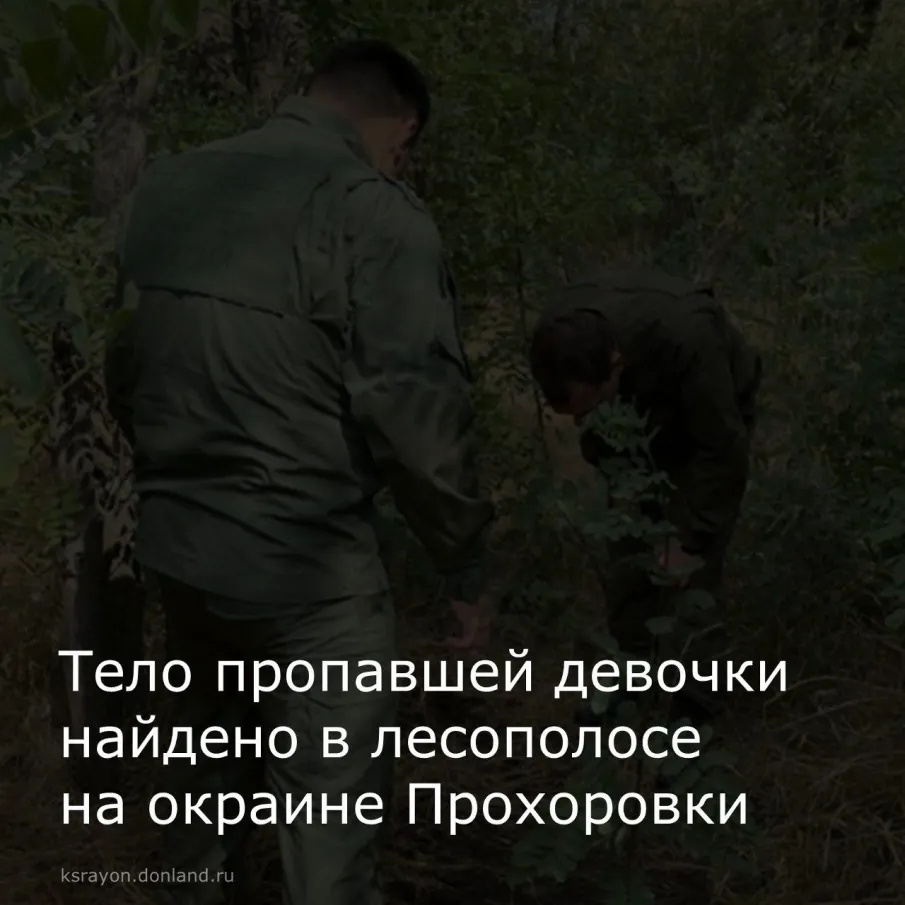 Найдено тело пропавшей 14-летней девочки в Красносулинском районе