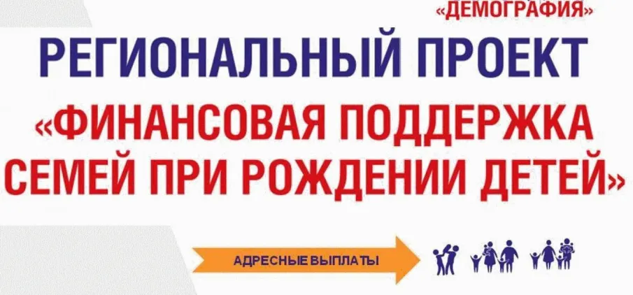 Итоги за 11 месяцев 2020 года: реализация в Красносулинском районе регионального проекта «Финансовая поддержка семей при рождении детей»