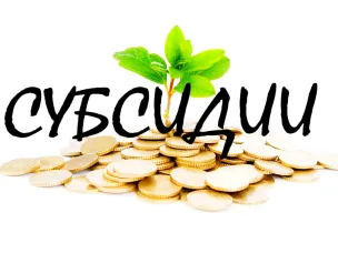 С 11.06.2019 начинается прием документов для предоставления субсидии сельскохозяйственным товаропроизводителям