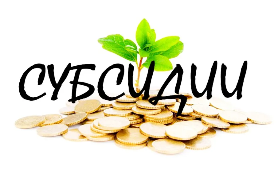 С 11.06.2019 начинается прием документов для предоставления субсидии сельскохозяйственным товаропроизводителям