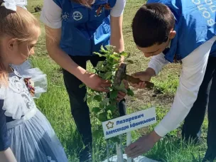 В Красносулинском «Саду Памяти» появилась аллея «Героев нашего времени»