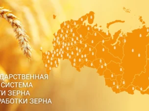 Создана Федеральная государственная информационная система прослеживаемости зерна и продуктов переработки зерна