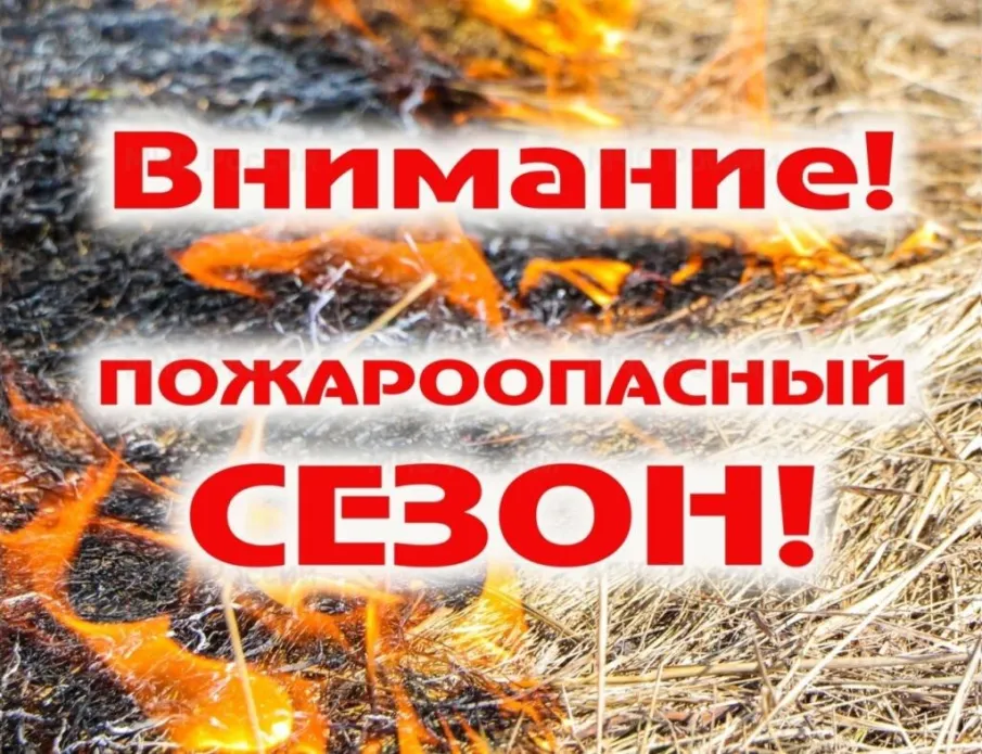 С 30 апреля по 15 октября 2025 г. на территории Ростовской области установлен особый противопожарный режим