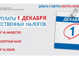 Срок уплаты имущественных налогов физическими лицами в 2020 году не позднее 1 декабря