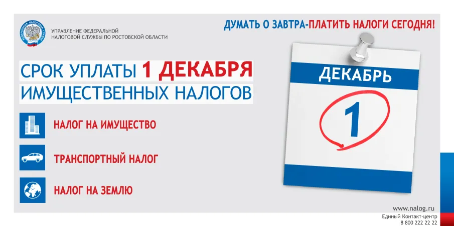 Срок уплаты имущественных налогов физическими лицами в 2020 году не позднее 1 декабря