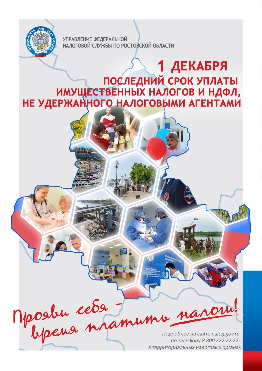 1 декабря последний срок уплаты имущественных налогов