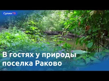 Поселок Раково