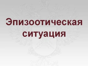 Об эпизоотической ситуации в Красносулинском районе и Ростовской области на 1 августа 2019 года