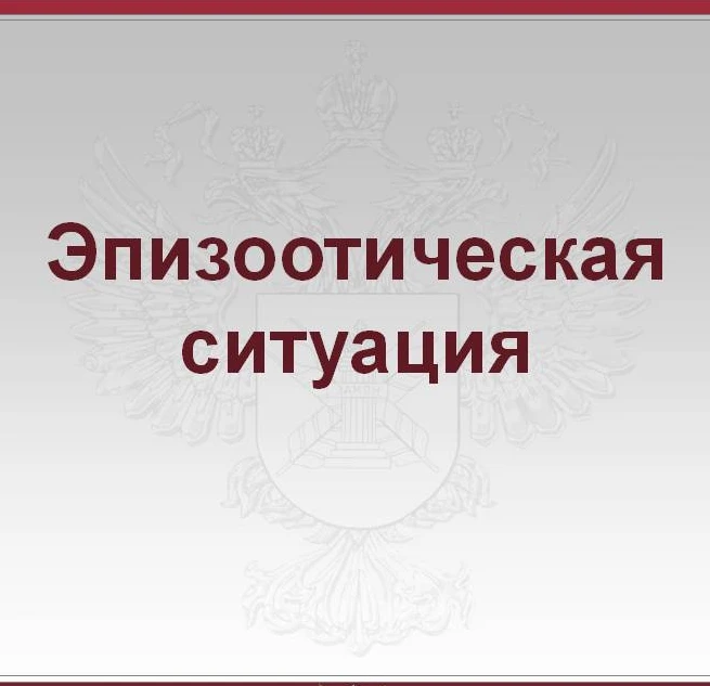 Об эпизоотической ситуации в Красносулинском районе и Ростовской области на 1 августа 2019 года