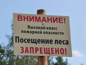 В Ростовской области продлен режим ограничения пребывания граждан в лесах