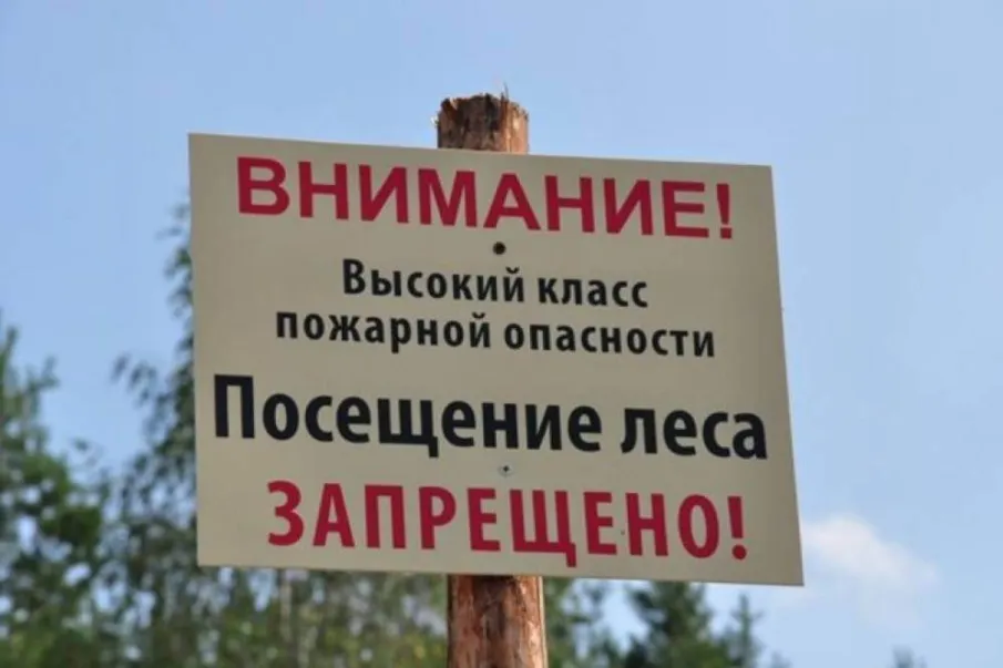 В Ростовской области продлен режим ограничения пребывания граждан в лесах