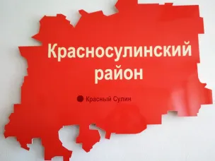Конкурс на получение финансовой  поддержки в виде субсидий социально ориентированным  некоммерческим организациям в Красносулинском районе