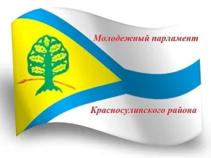 Подведены итоги конкурса «Лучший молодежный парламент в Ростовской области»