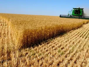 Уборка урожая на 19.07.2019