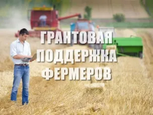 О получении главами крестьянских (фермерских) хозяйств грантов в форме субсидий на развитие семейных ферм