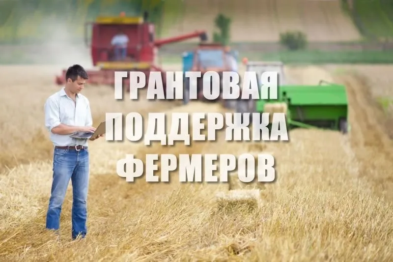 О получении главами крестьянских (фермерских) хозяйств грантов в форме субсидий на развитие семейных ферм
