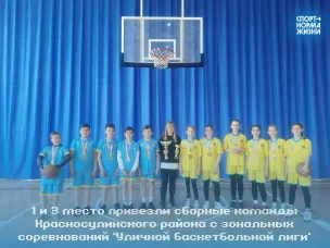 Красносулинцы стали победителями зональных соревнований «Уличной баскетбольной лиги» 2023