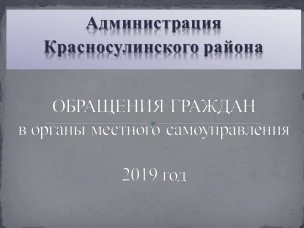 Информационно-статистический обзор рассмотрения обращения граждан в Администрации Красносулинского района за  2019 год