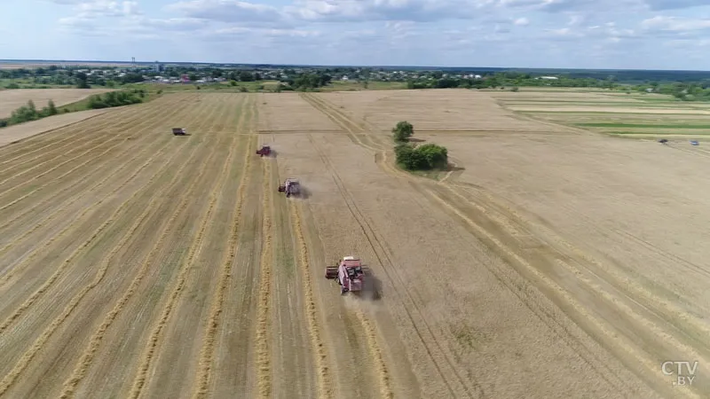 Уборка урожая на 07.08.2019
