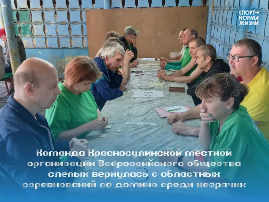 Спортсмены Красного Сулина на областных соревнованиях по домино среди незрячих