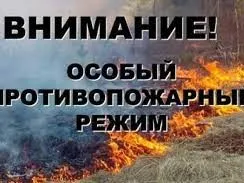 Введен режим ограничения пребывания граждан в лесах и въезда в них транспортных средств, проведения в лесах определенных видов работ