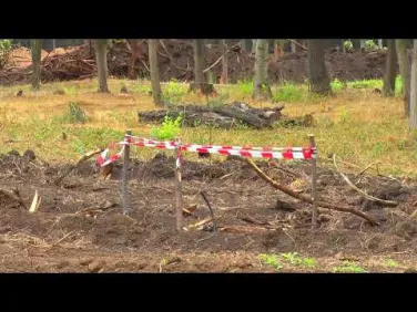 Реконструкция парка им Андрея Сулина