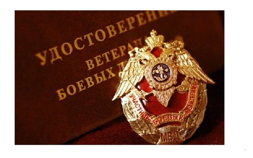 Кто относится к категории - Ветераны боевых действий