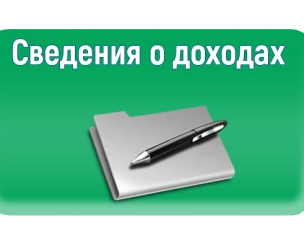 Итоги декларационной кампании 2019 года