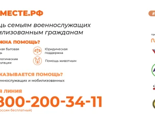 Информационные карточки
