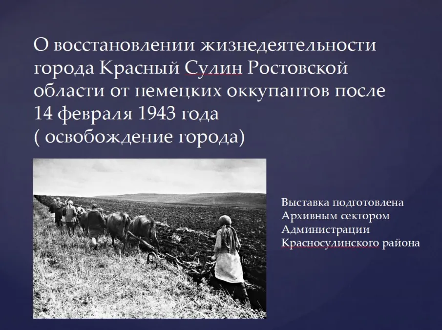 Презентация архивных документов в Красносулинском районе