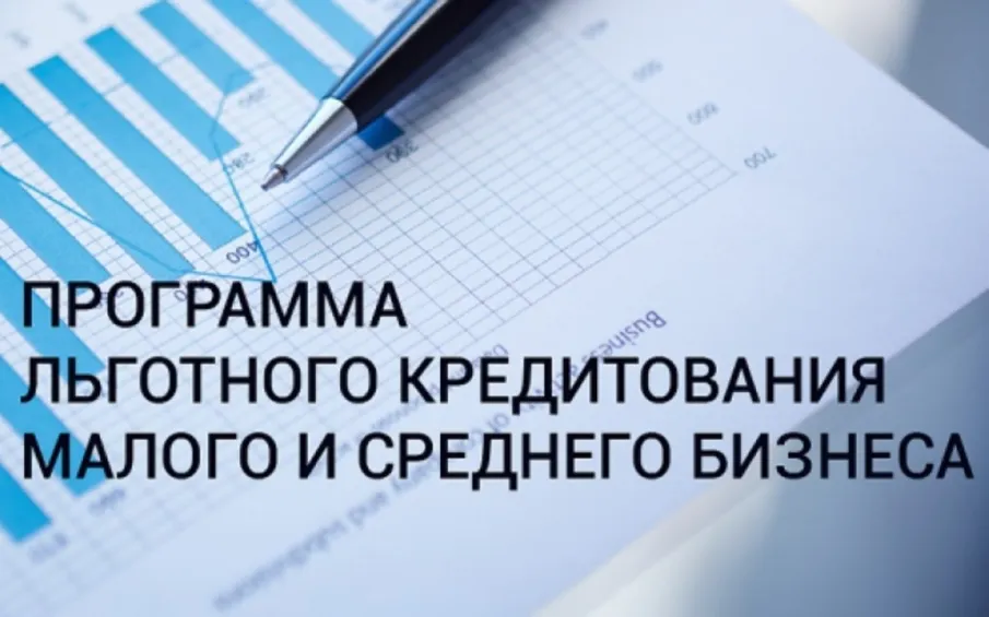 Что нужно знать о льготных программах кредитования бизнеса
