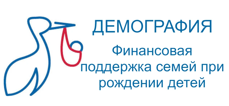 Итоги за 10 месяцев 2020 года: реализация в Красносулинском районе регионального проекта «Финансовая поддержка семей при рождении детей»