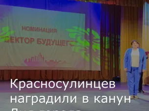 В преддверии Дня города Красный Сулин награждены красносулинцы в нескольких номинациях