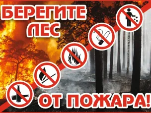 Пожарная безопасность в лесу