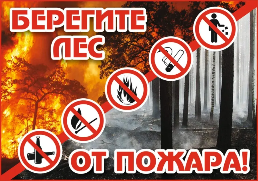 Пожарная безопасность в лесу