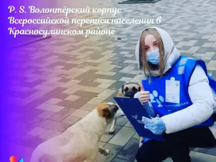 ВПН 2020 Что нужно знать? Переписчики и волонтеры решают разные задачи