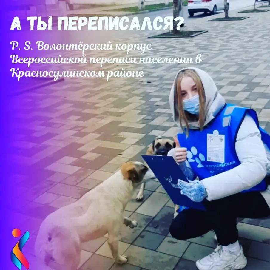 ВПН 2020 Что нужно знать? Переписчики и волонтеры решают разные задачи