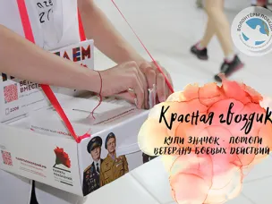 Купи значок «Красная гвоздика» – помоги Ветерану
