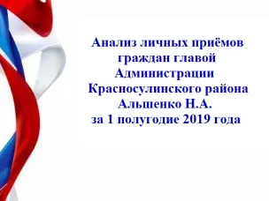 Анализ личных приёмов граждан главой Администрации Красносулинского района Альшенко Н.А. за 1 полугодие 2019 года