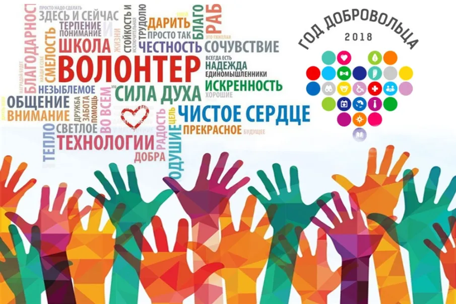 Итоги Года добровольца. Как развивалось движение