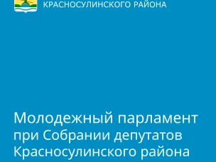 Молодёжный парламент при Собрании депутатов Красносулинского района стал финалистом в региональном конкурсе «Лучший молодежный парламент Ростовской области»