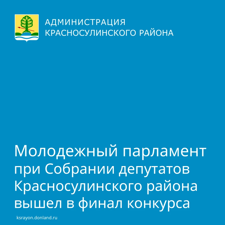 Молодёжный парламент при Собрании депутатов Красносулинского района стал финалистом в региональном конкурсе «Лучший молодежный парламент Ростовской области»