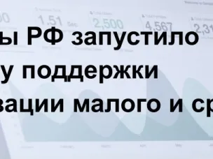 Минцифры РФ запустило программу поддержки цифровизации малого и среднего бизнеса