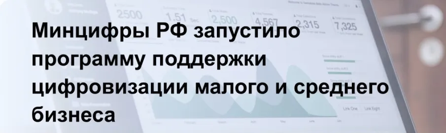 Минцифры РФ запустило программу поддержки цифровизации малого и среднего бизнеса