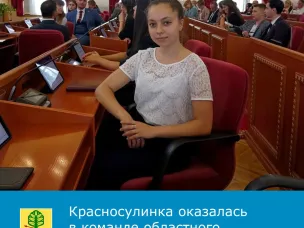 Студентка красносулинского колледжа Анастасия Партина присоединилась к команде Молодежного парламента при Законодательном Собрании Ростовской области