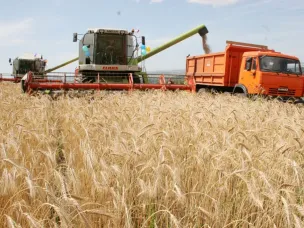 Уборка урожая на 29.07.2019